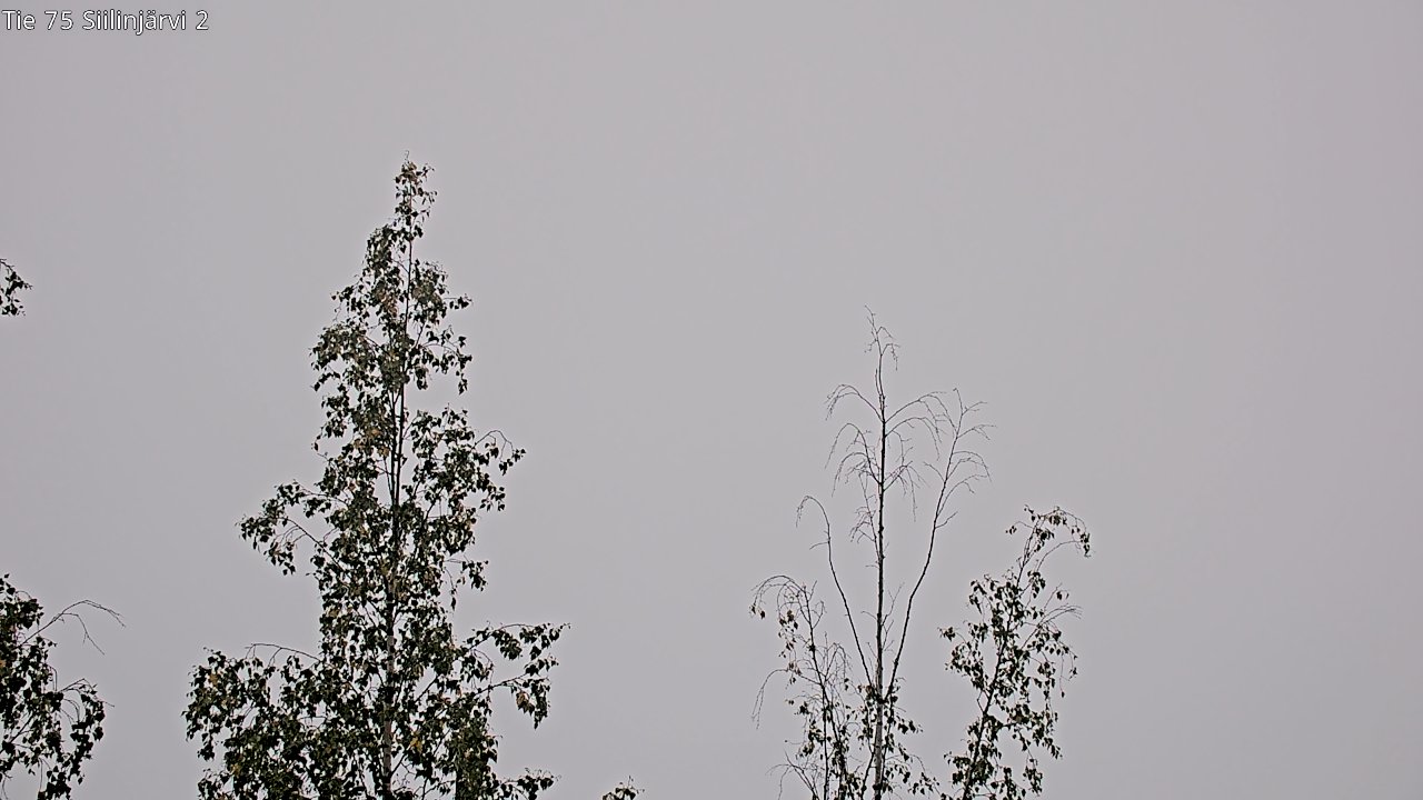 c0857409-1788246220.jpg