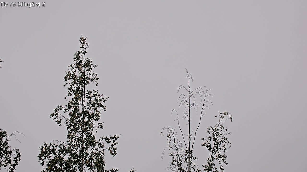 c0857409-1788249826.jpg