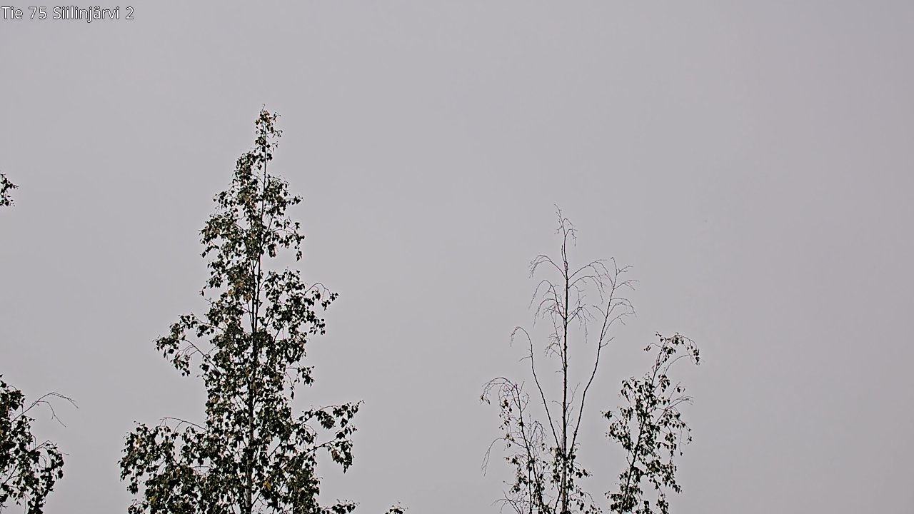 c0857409-1788253376.jpg