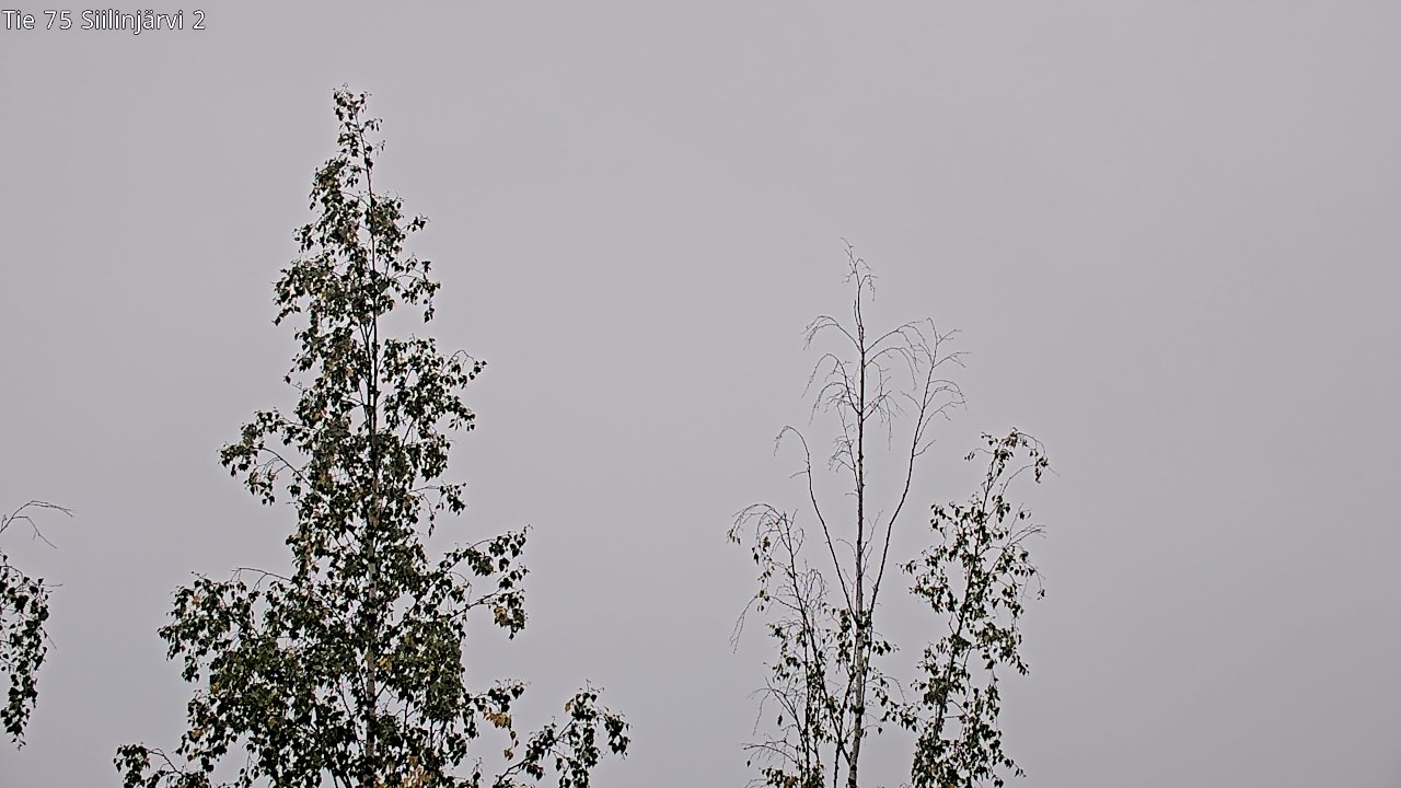 c0857409-1788260681.jpg