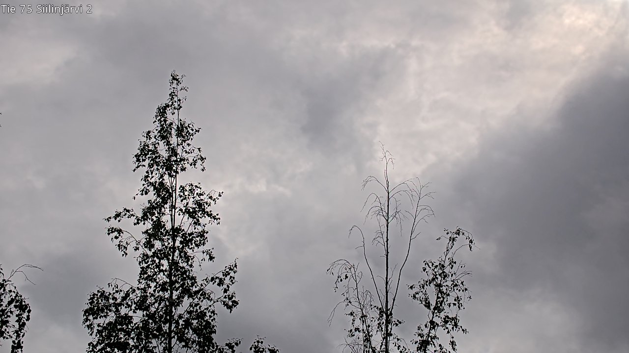 c0857409-1788271306.jpg