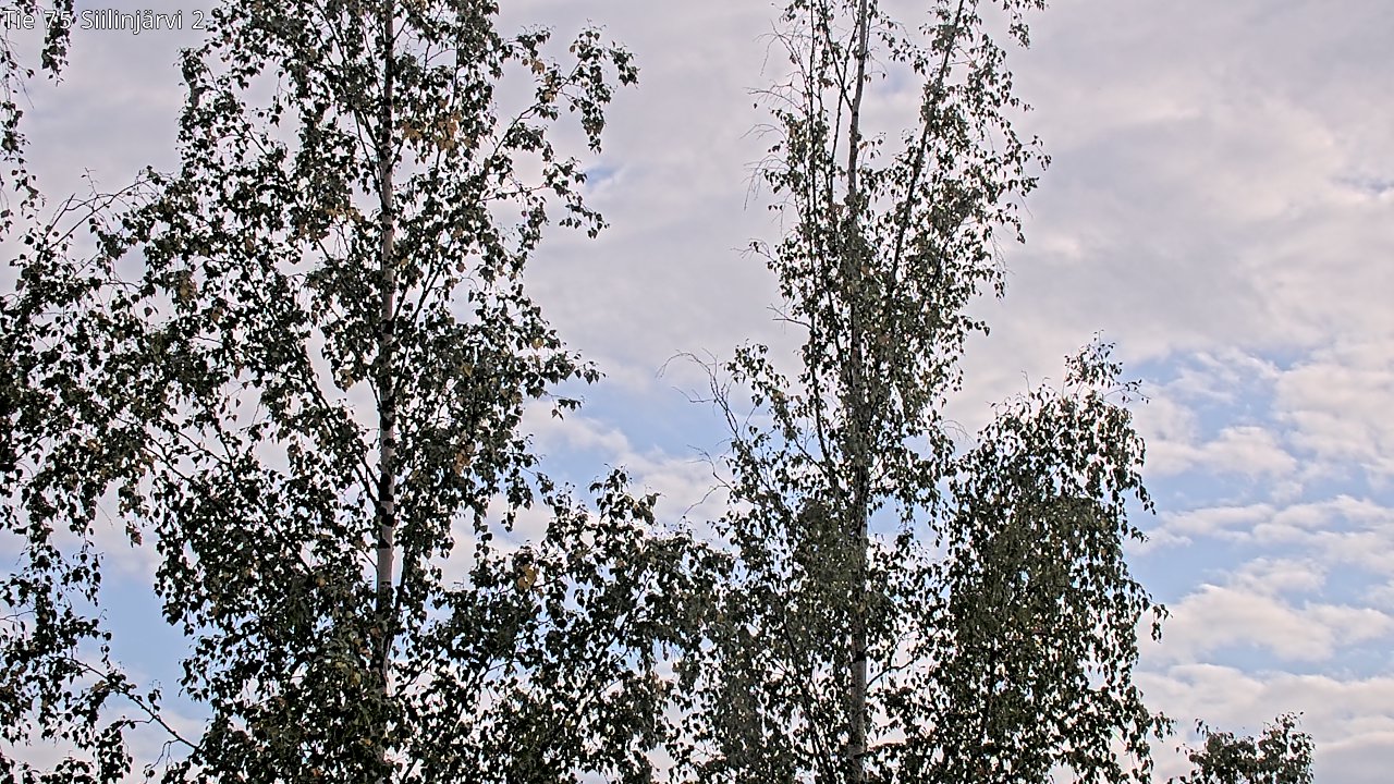 c0857409-1788278643.jpg