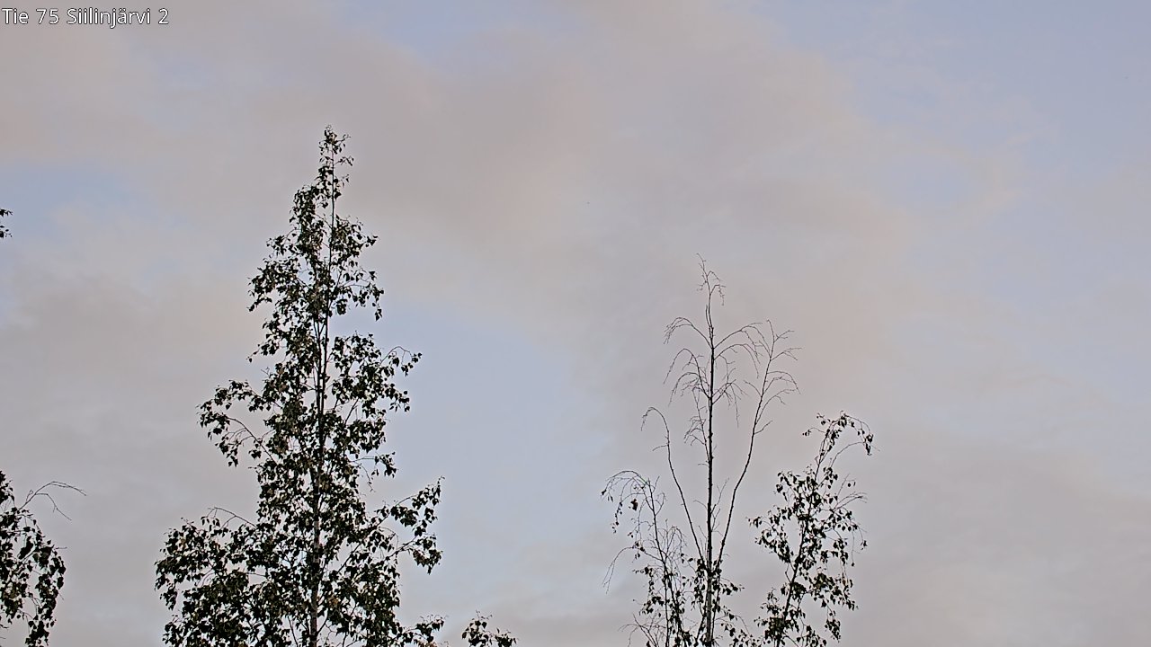 c0857409-1788285780.jpg