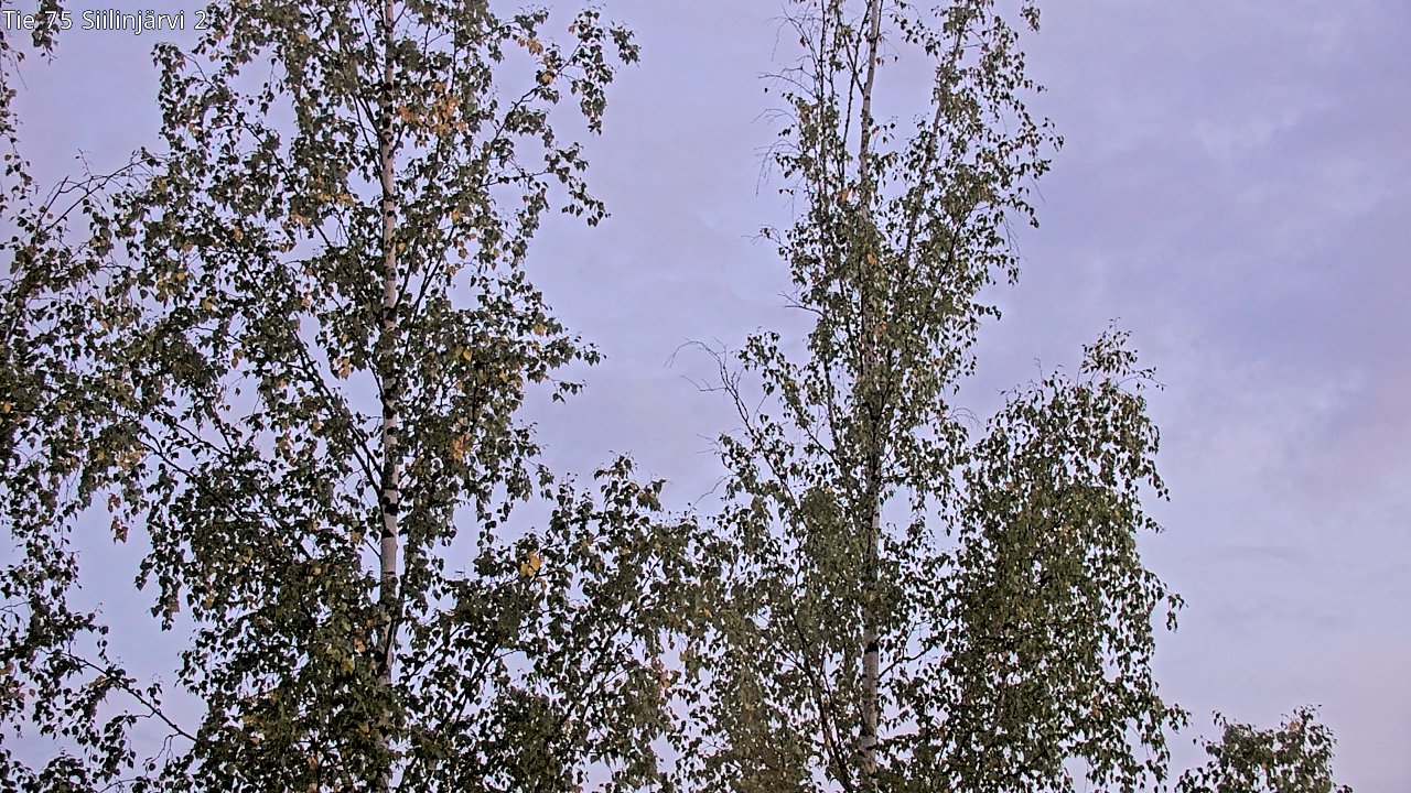 c0857409-1788293018.jpg