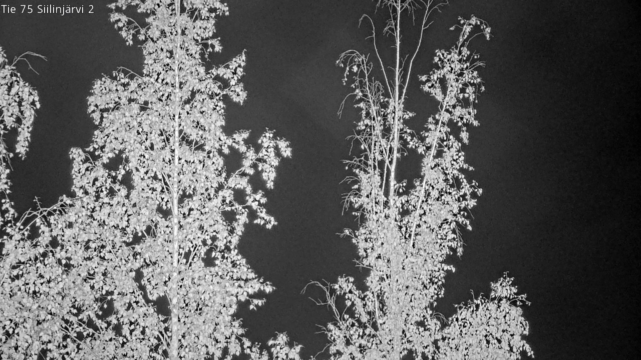c0857409-1788307514.jpg