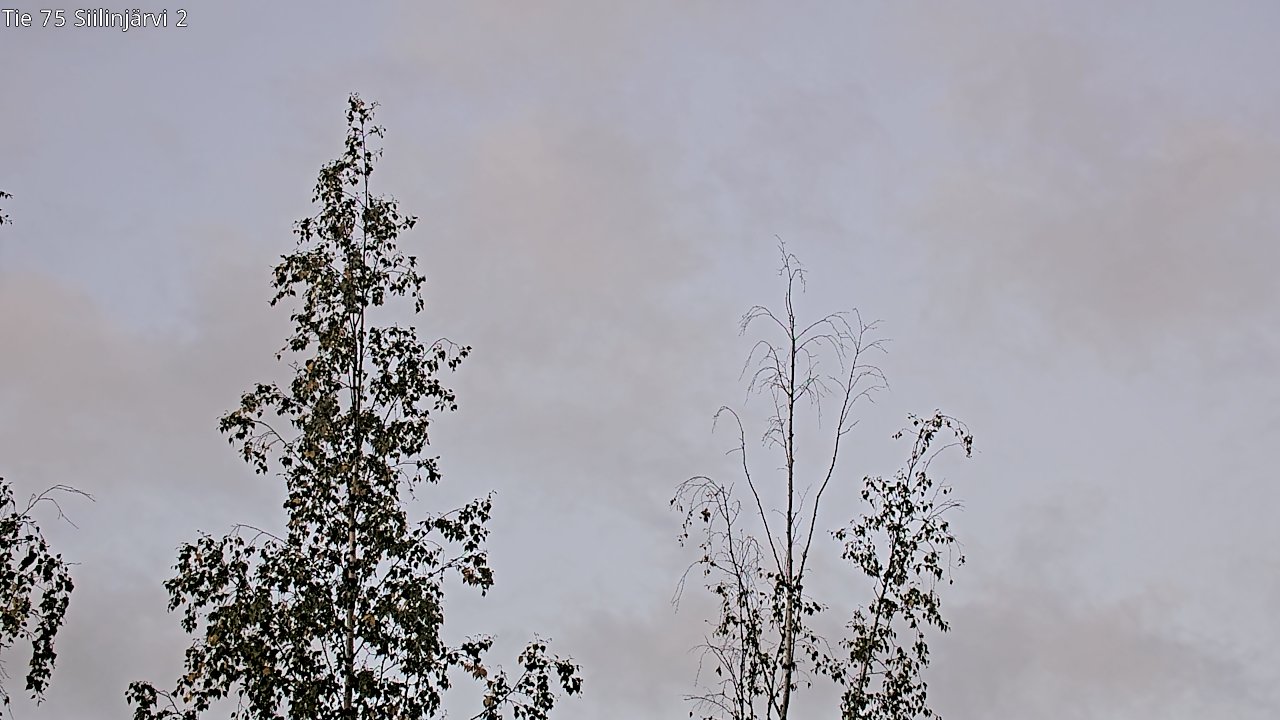 c0857409-1788325466.jpg