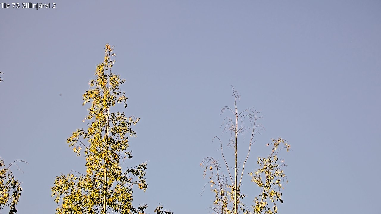 c0857409-1788332620.jpg