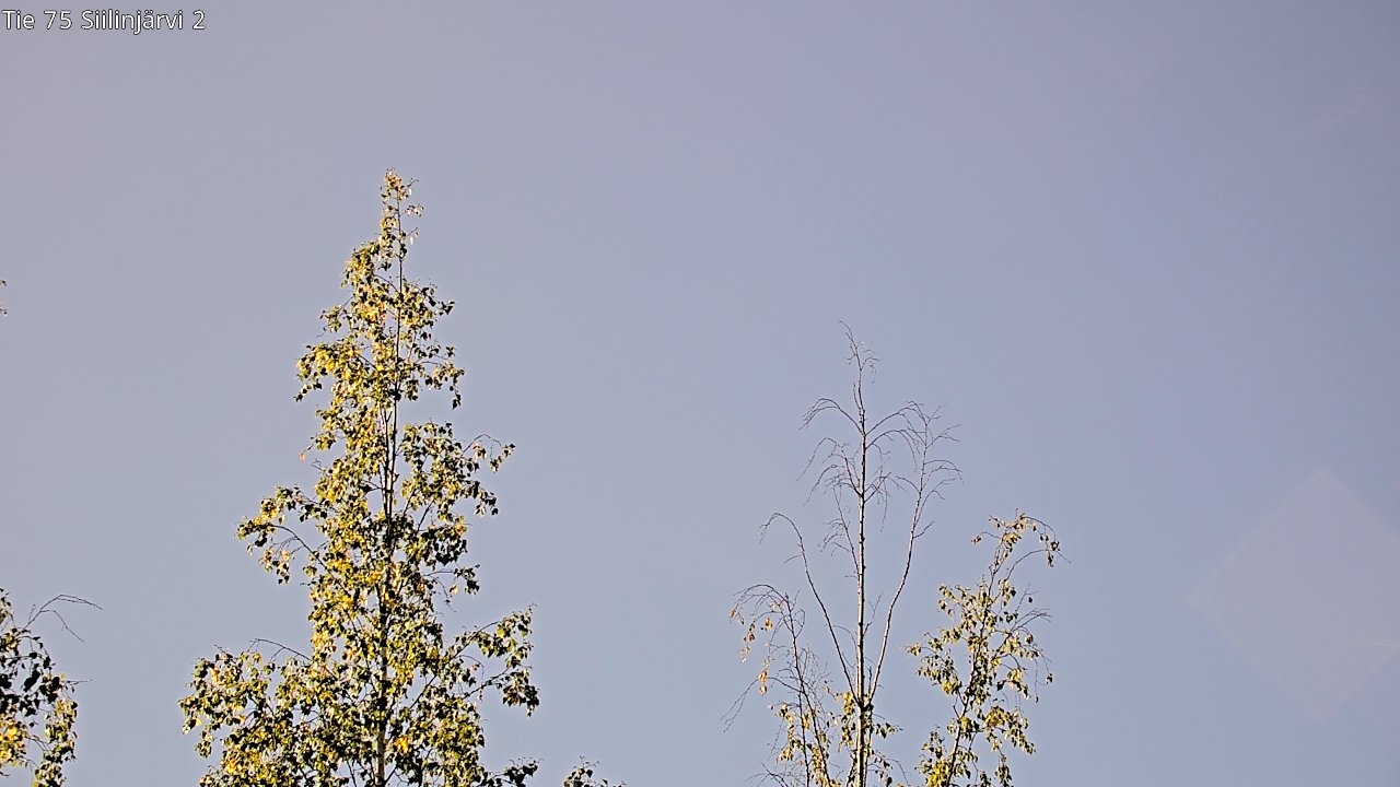 c0857409-1788343397.jpg