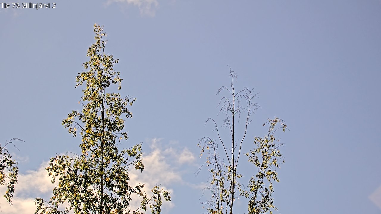 c0857409-1788347096.jpg
