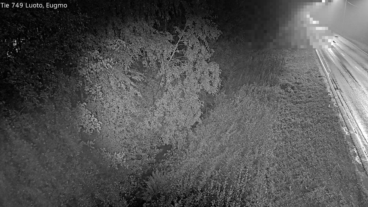 c1054601-1788213746.jpg