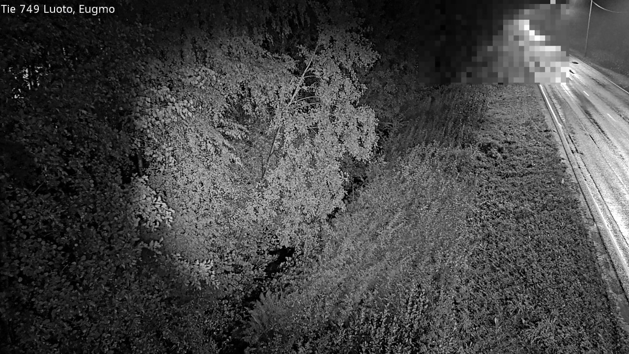 c1054601-1788217356.jpg