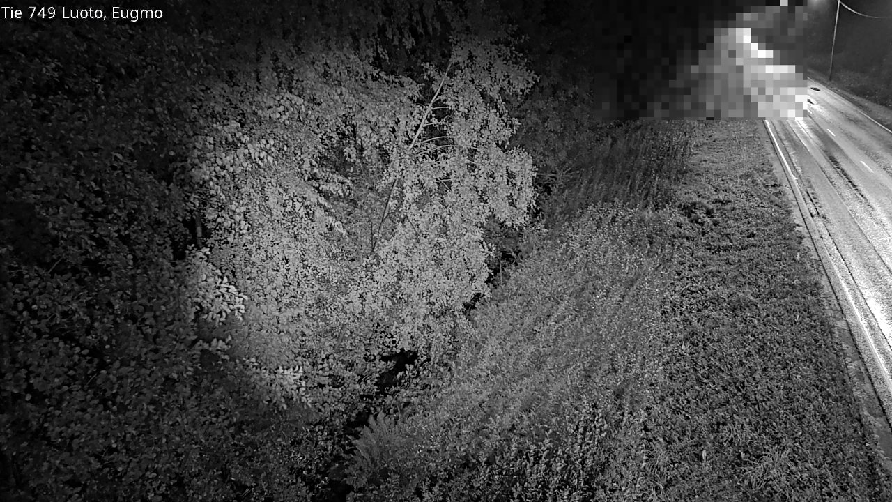 c1054601-1788221008.jpg