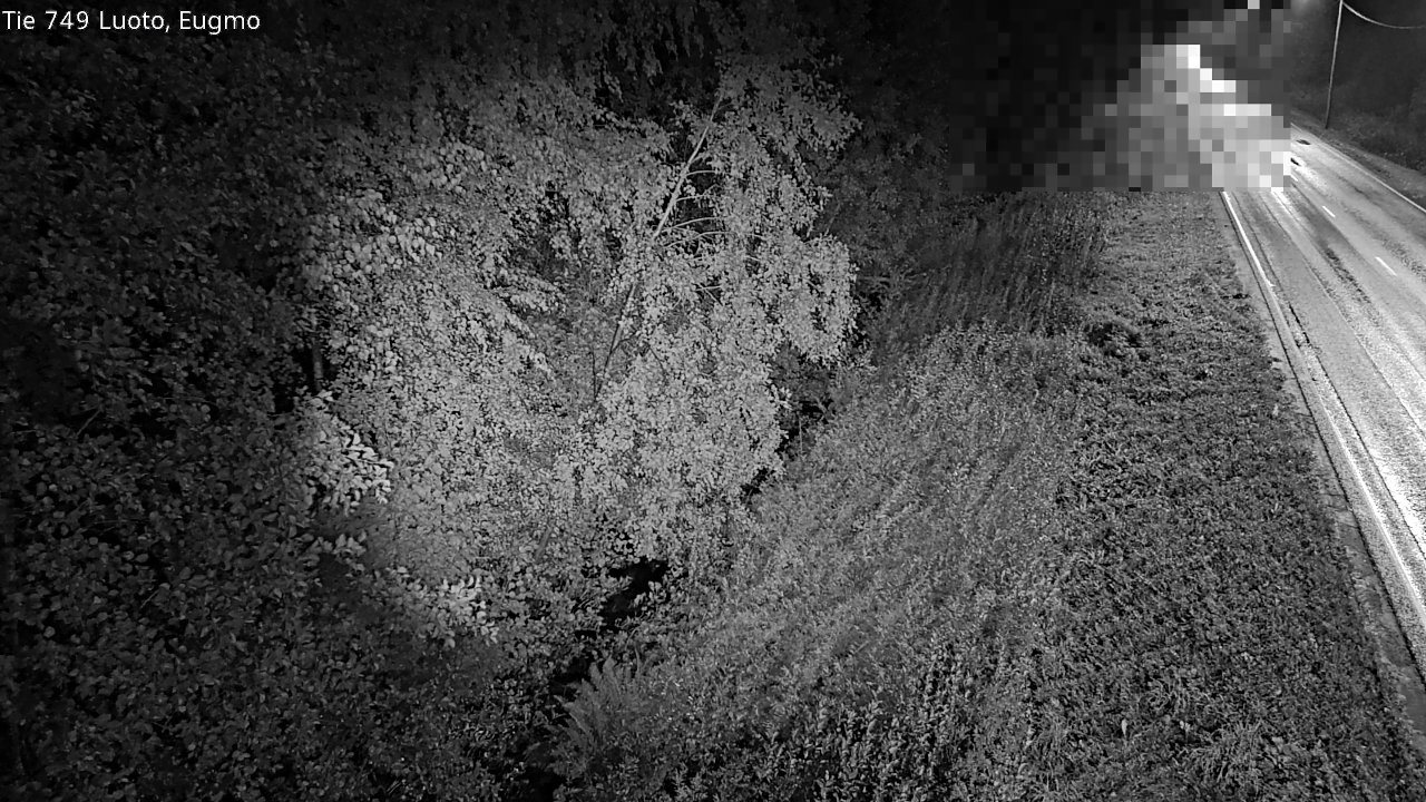 c1054601-1788224678.jpg