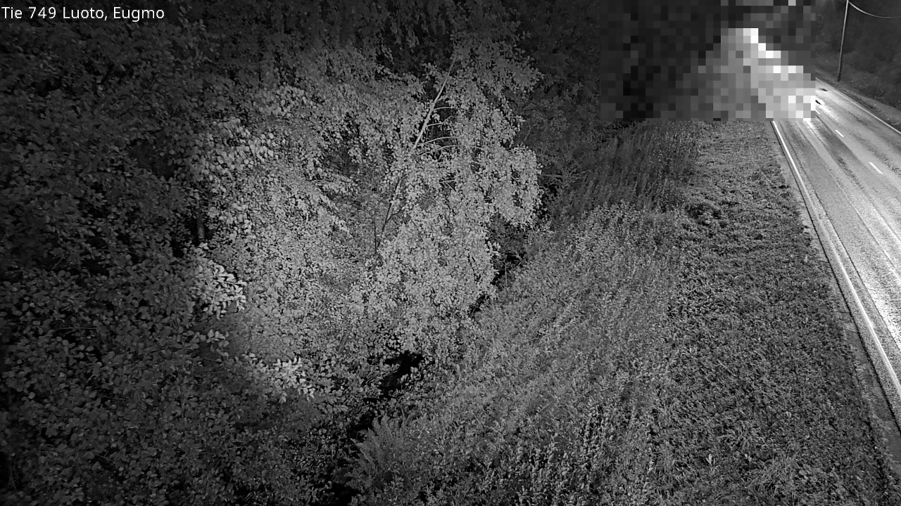 c1054601-1788235448.jpg