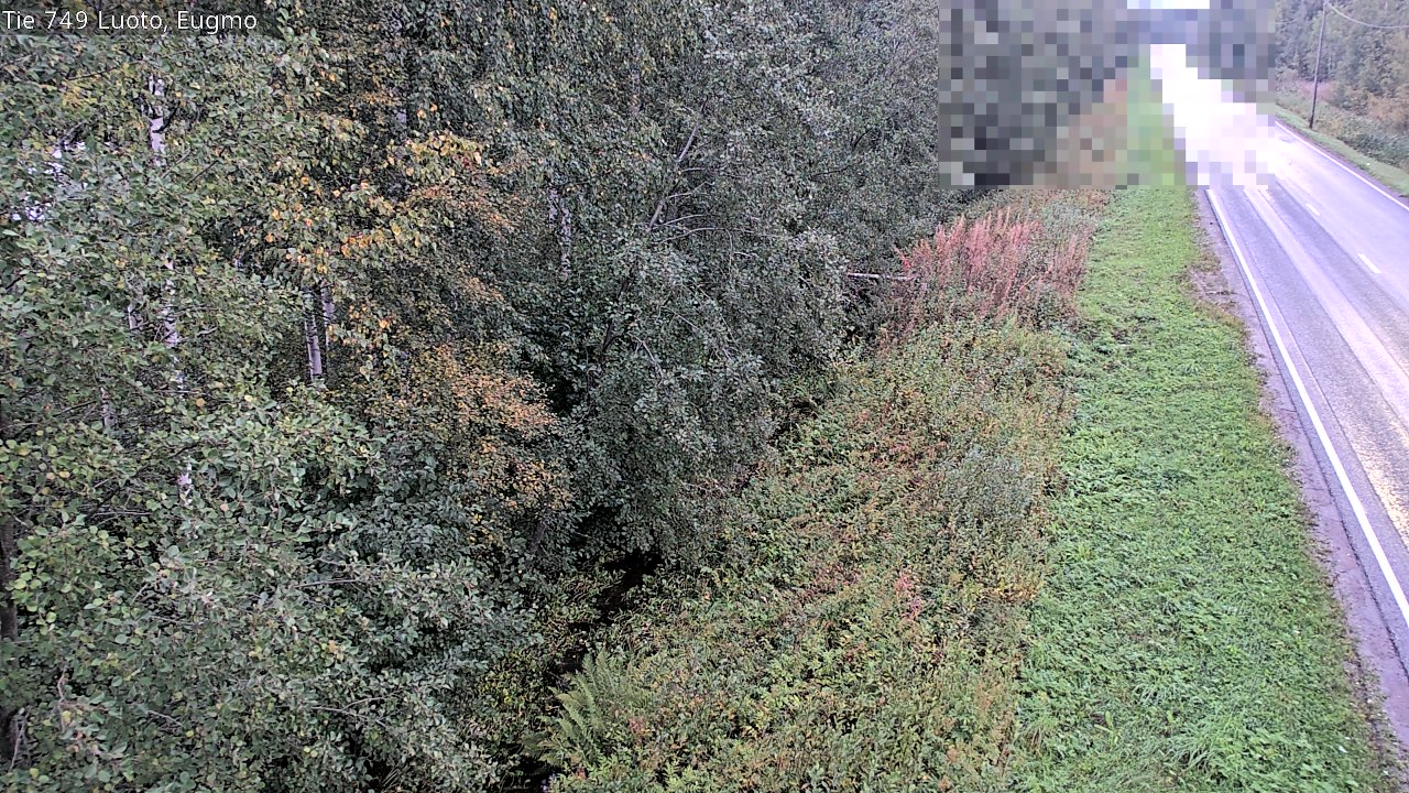 c1054601-1788239008.jpg