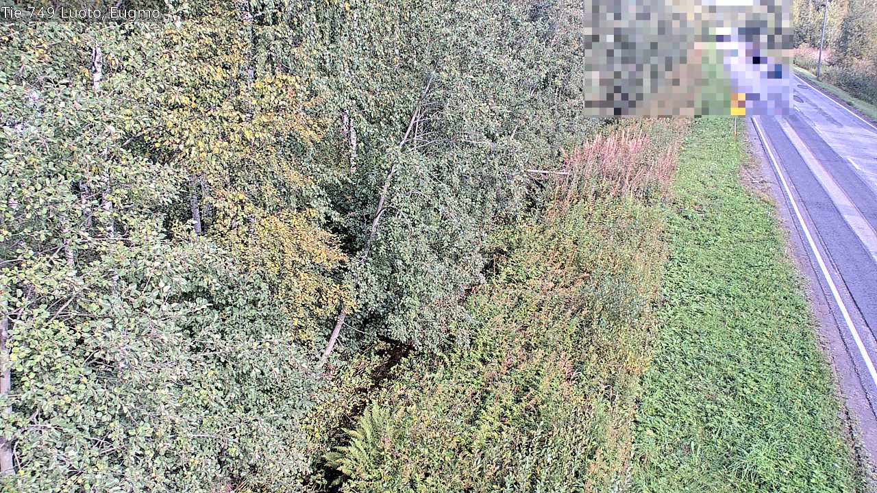 c1054601-1788271290.jpg