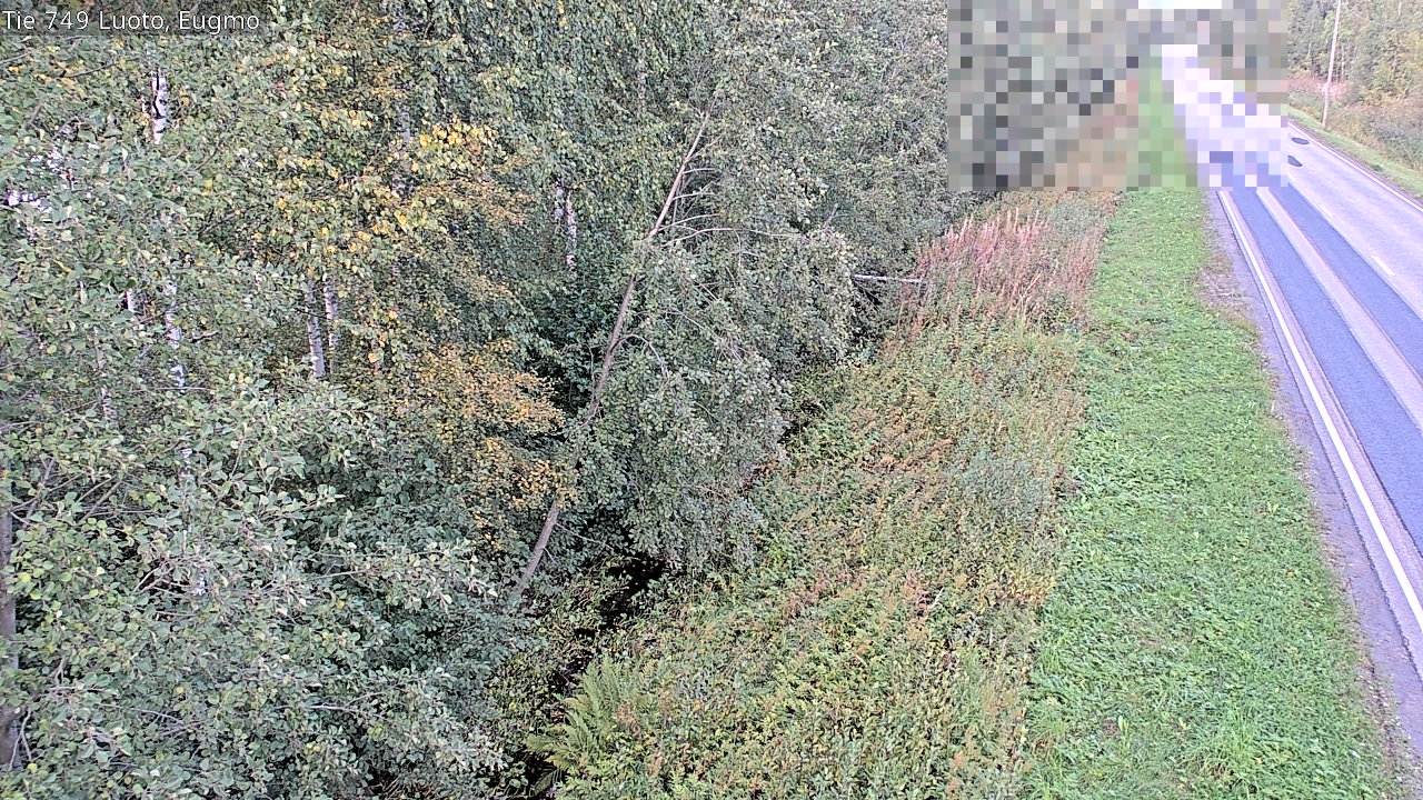 c1054601-1788285757.jpg
