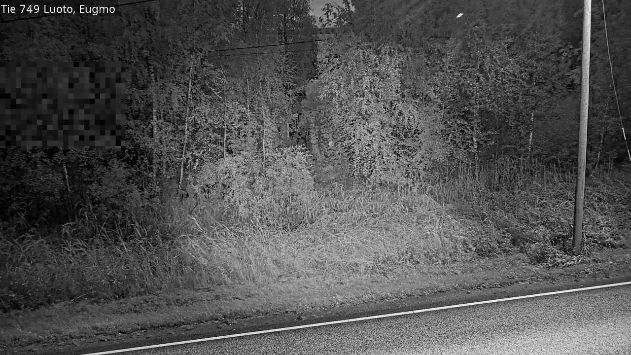 c1054602-1788235448.jpg