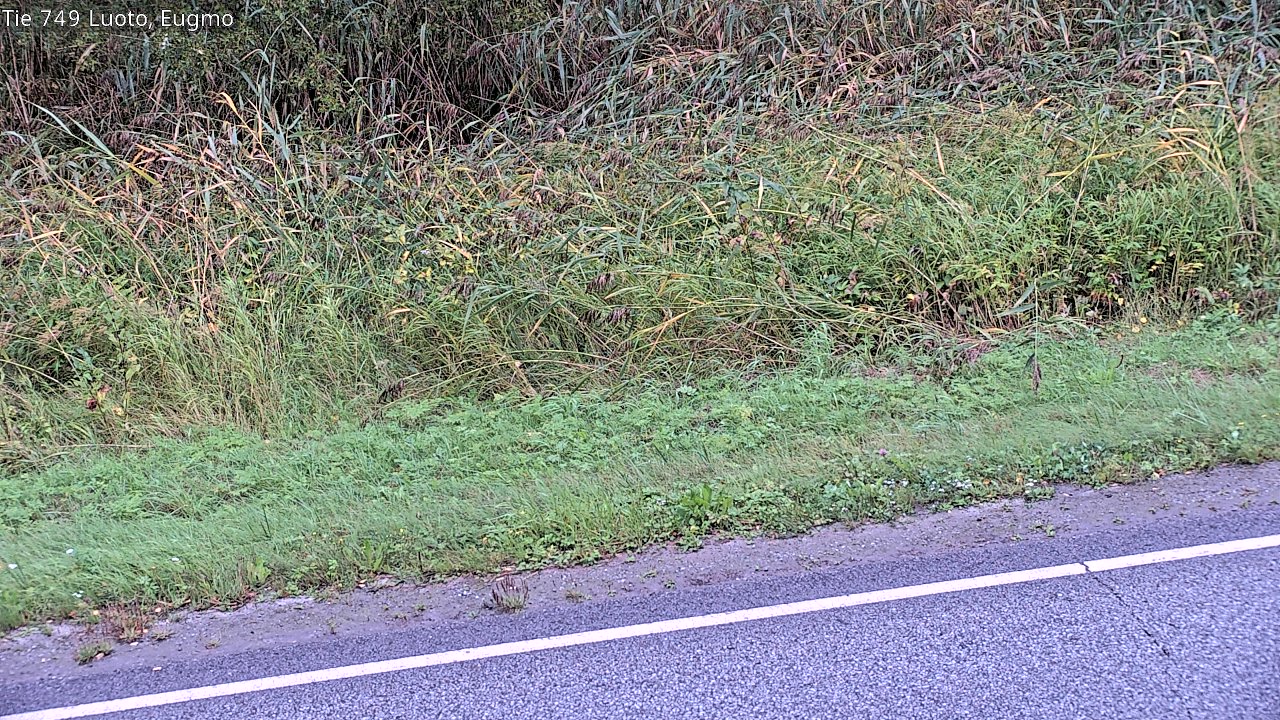 c1054609-1788239005.jpg