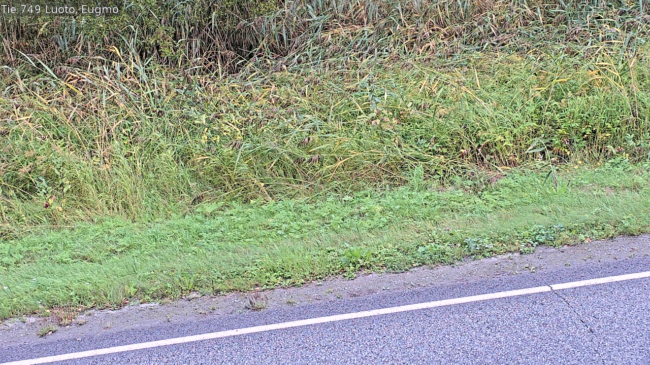 c1054609-1788246192.jpg