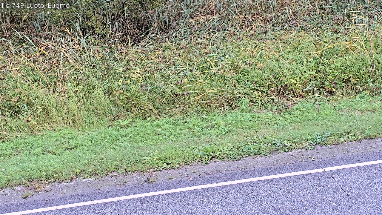 c1054609-1788249795.jpg