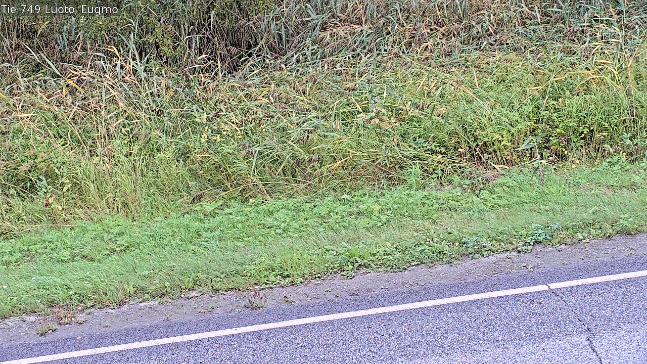 c1054609-1788253353.jpg
