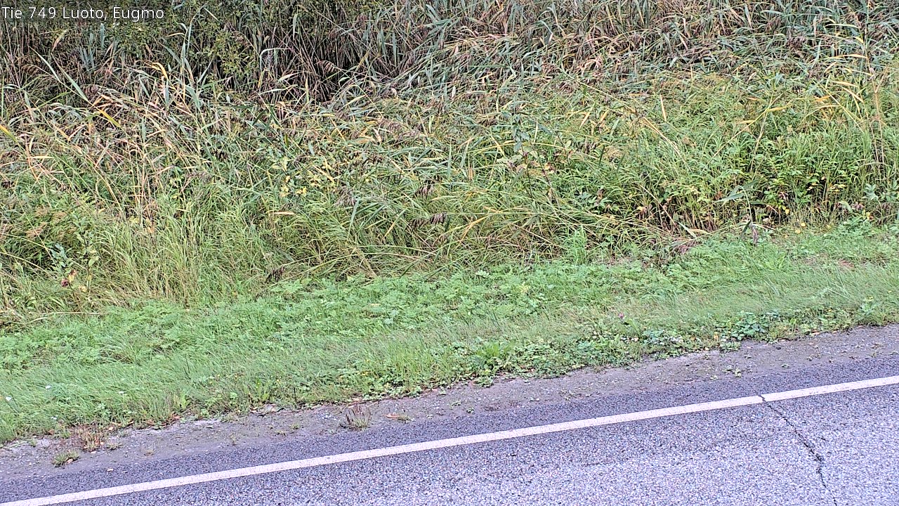 c1054609-1788257002.jpg