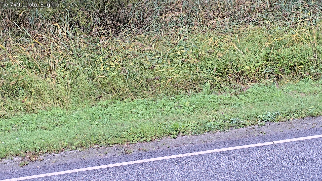 c1054609-1788260645.jpg