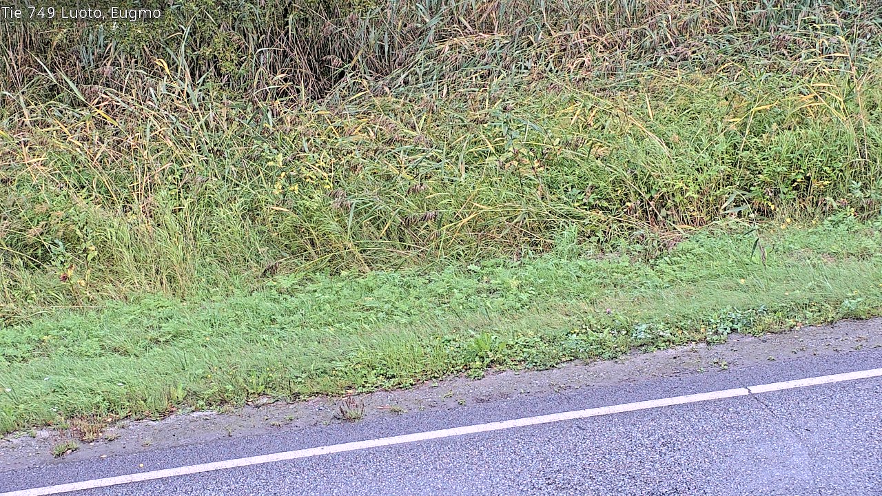 c1054609-1788264219.jpg