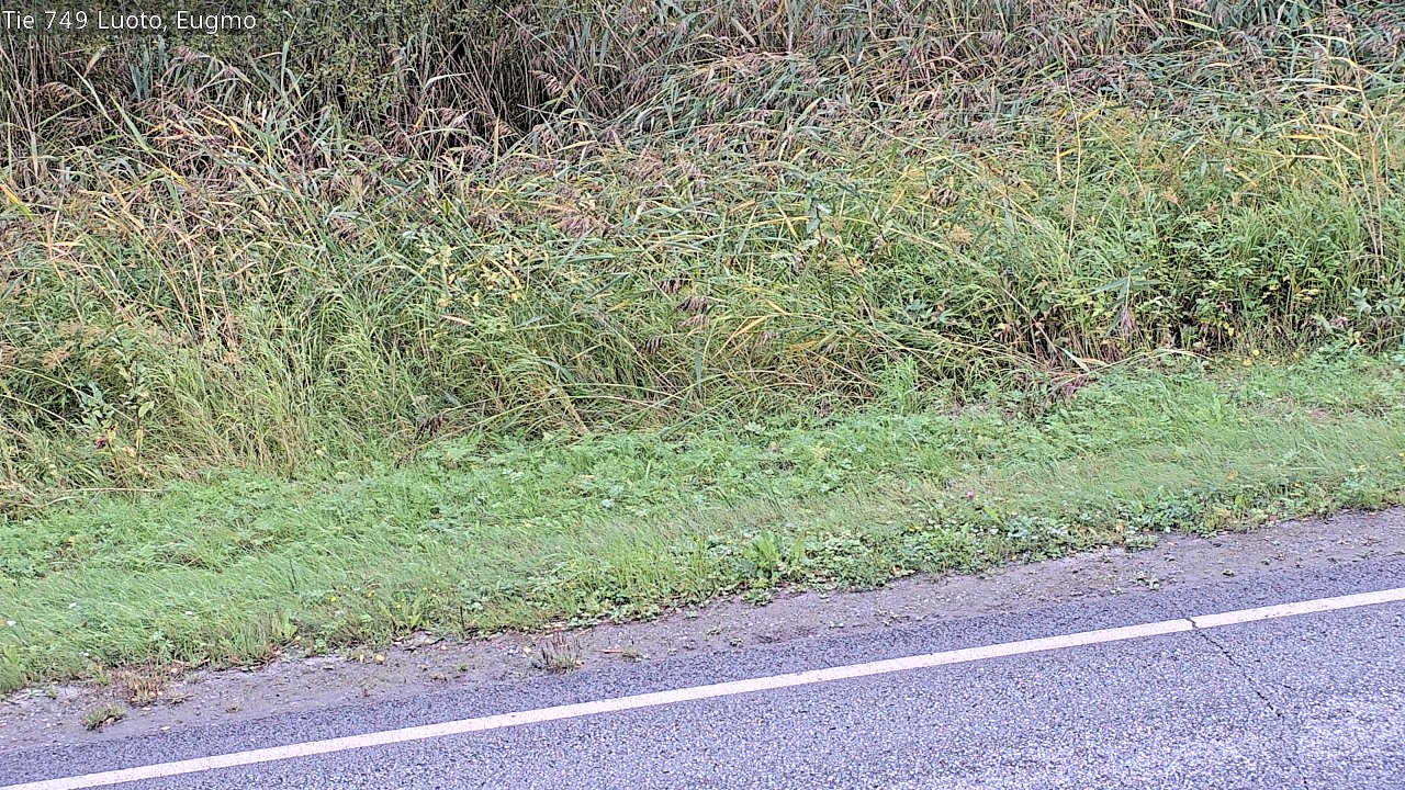 c1054609-1788267853.jpg