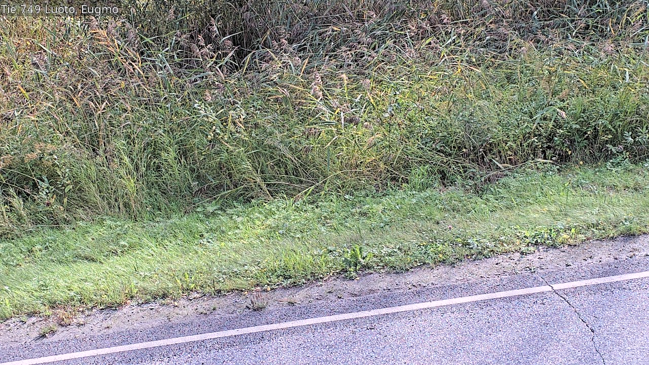 c1054609-1788271290.jpg