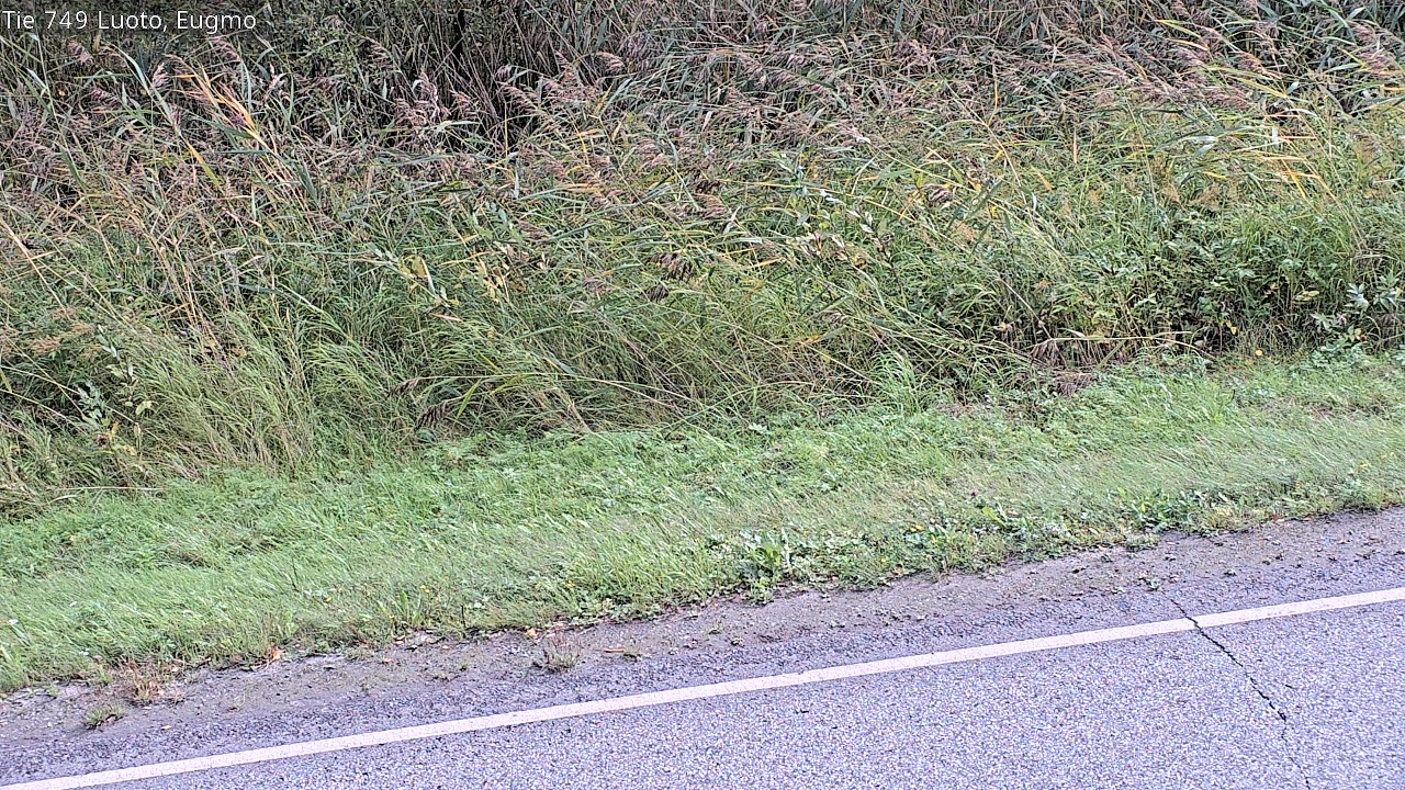 c1054609-1788274928.jpg