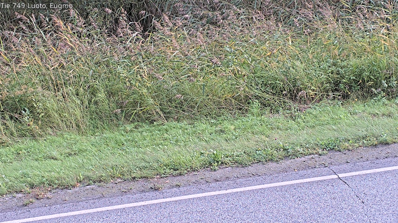 c1054609-1788278612.jpg