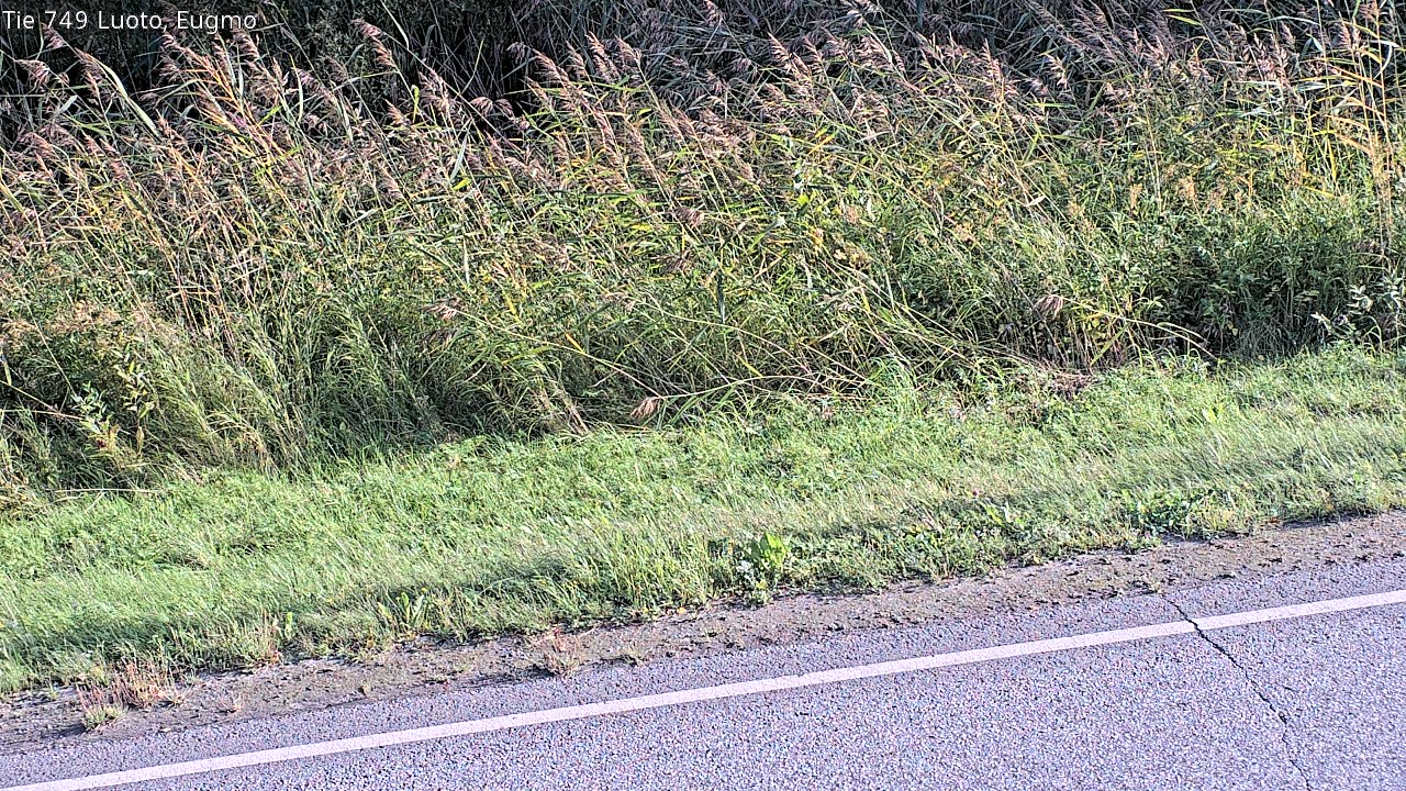c1054609-1788282164.jpg