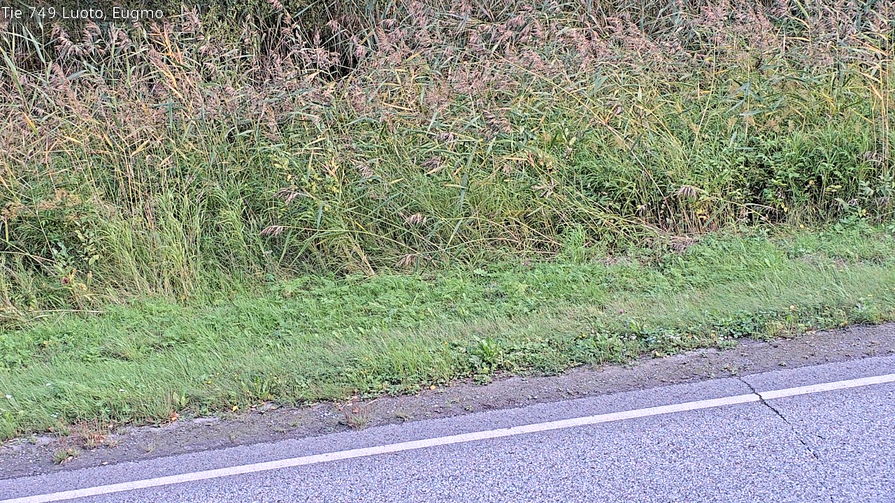 c1054609-1788285757.jpg