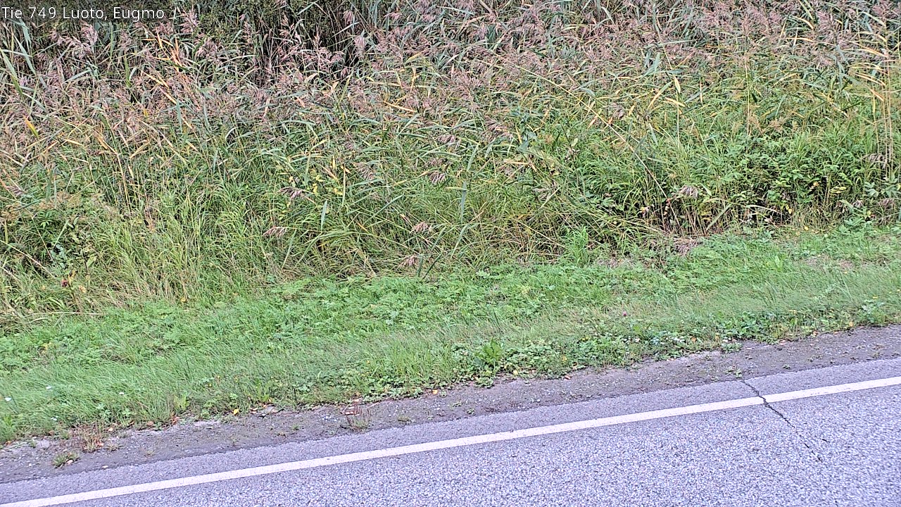 c1054609-1788289359.jpg