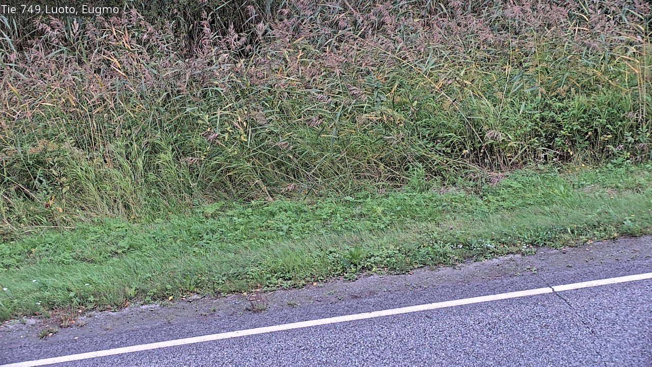c1054609-1788292987.jpg