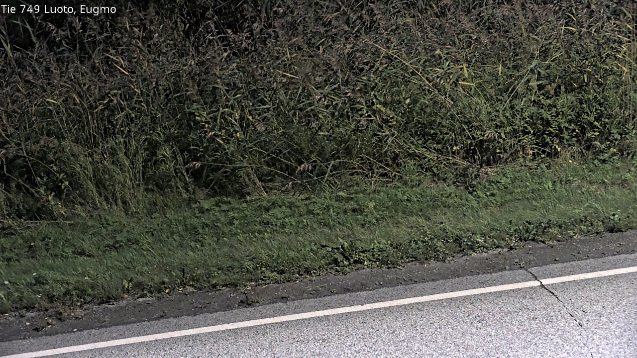c1054609-1788296589.jpg