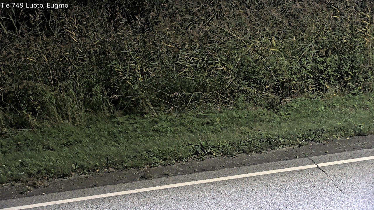 c1054609-1788300177.jpg