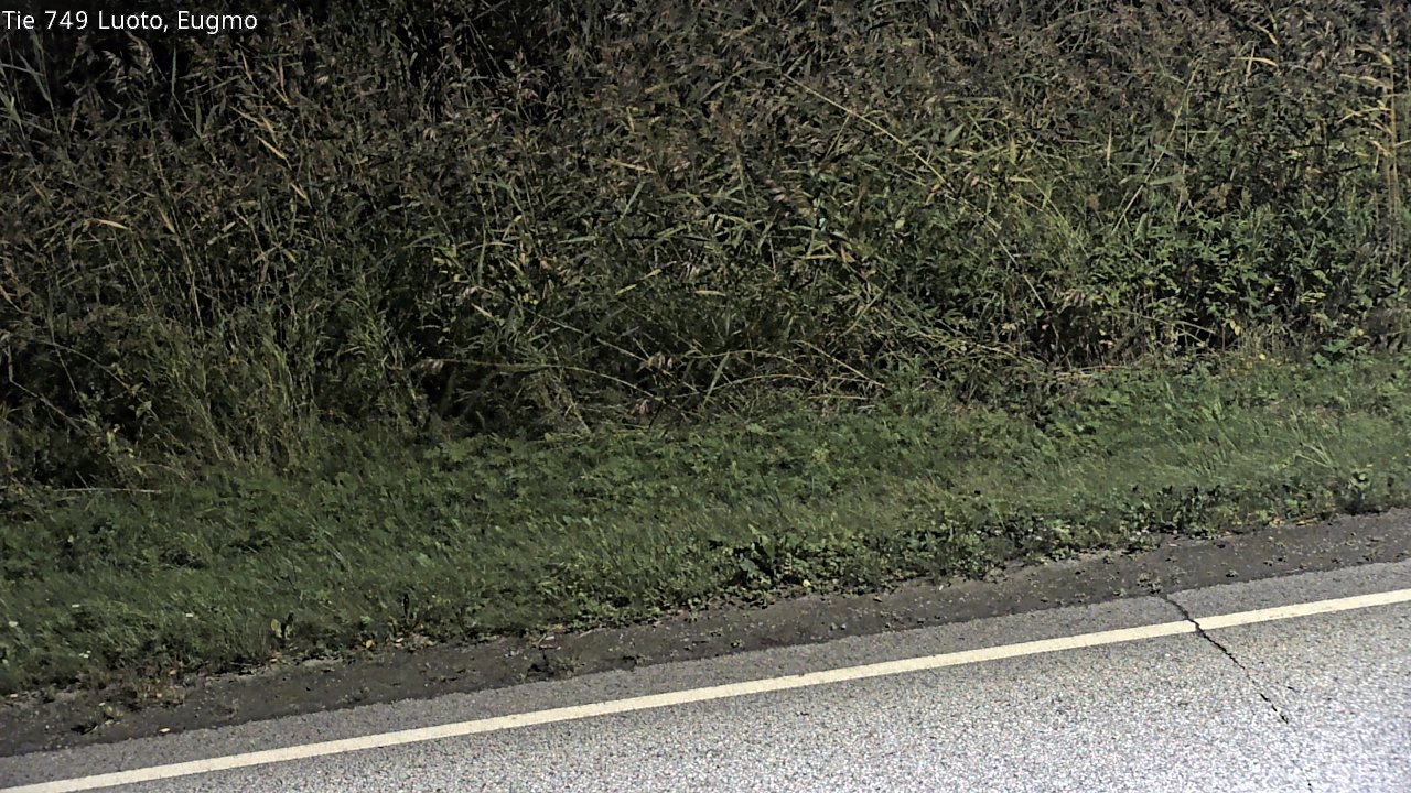 c1054609-1788303835.jpg
