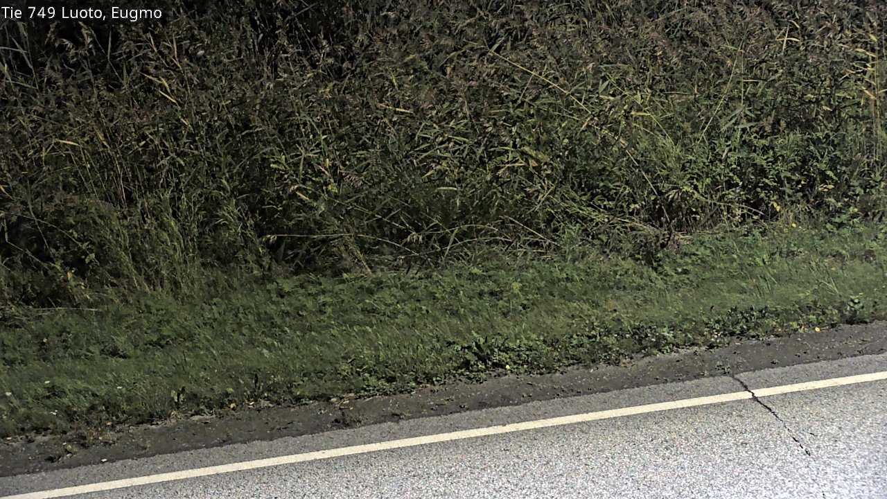 c1054609-1788307461.jpg