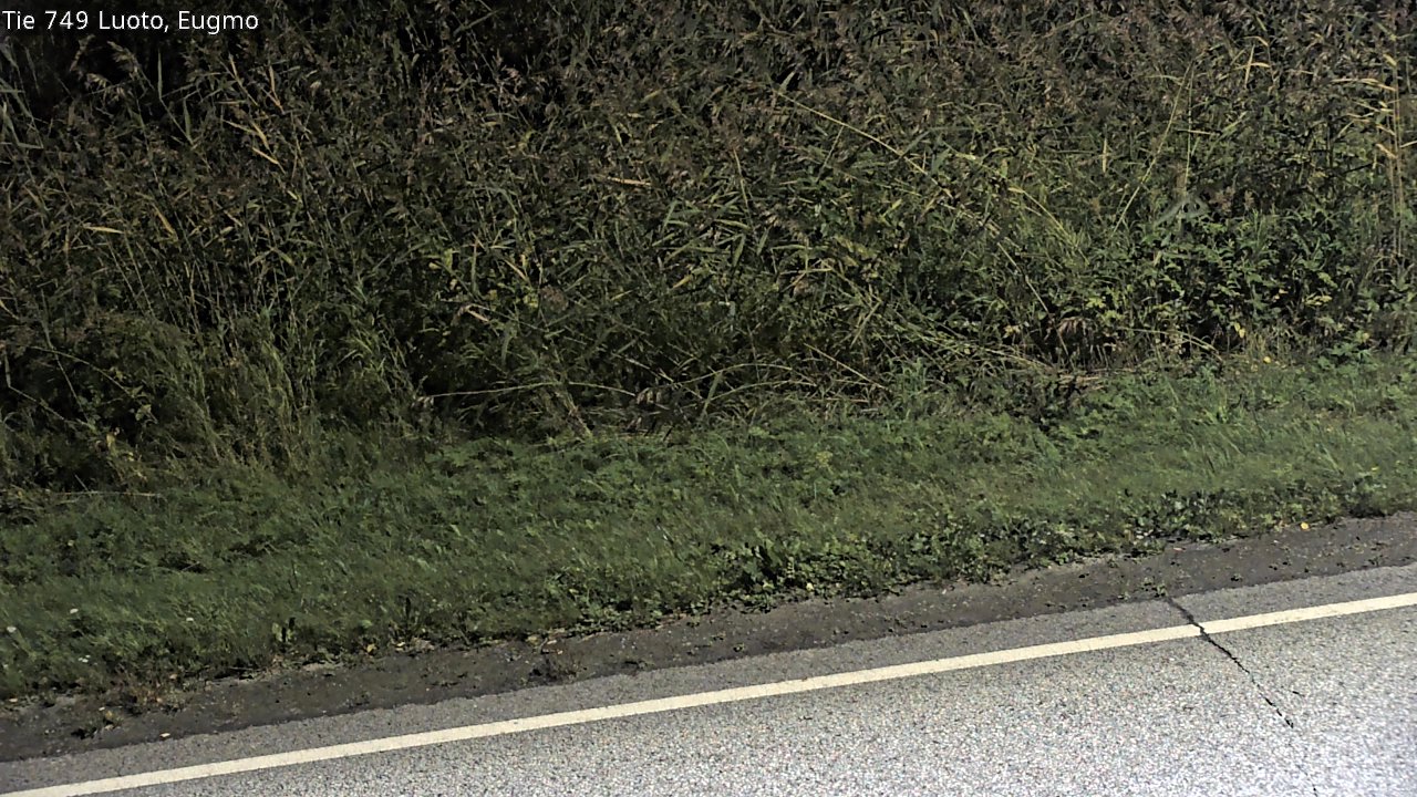 c1054609-1788310973.jpg