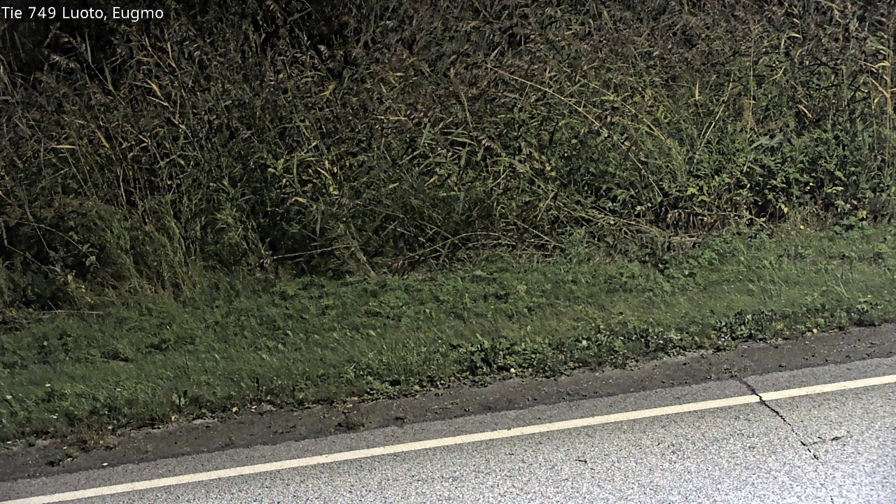c1054609-1788314623.jpg