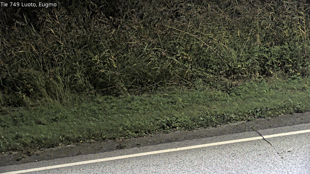 c1054609-1788318241.jpg