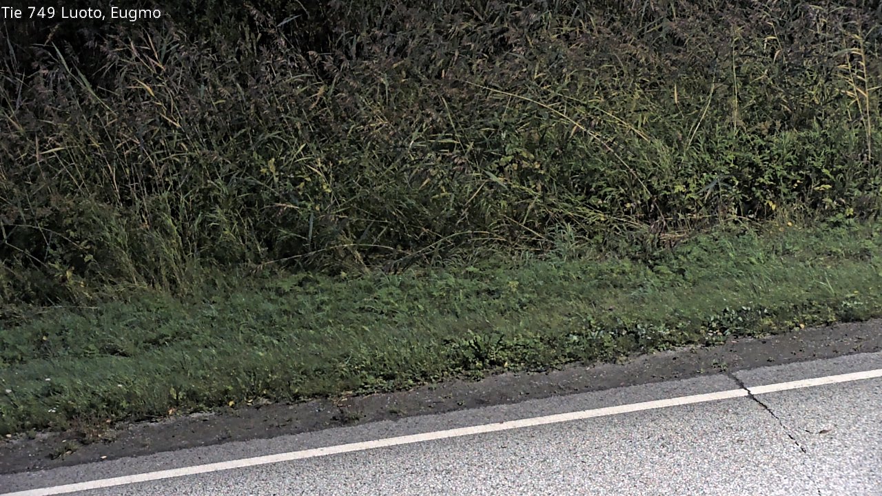 c1054609-1788321860.jpg