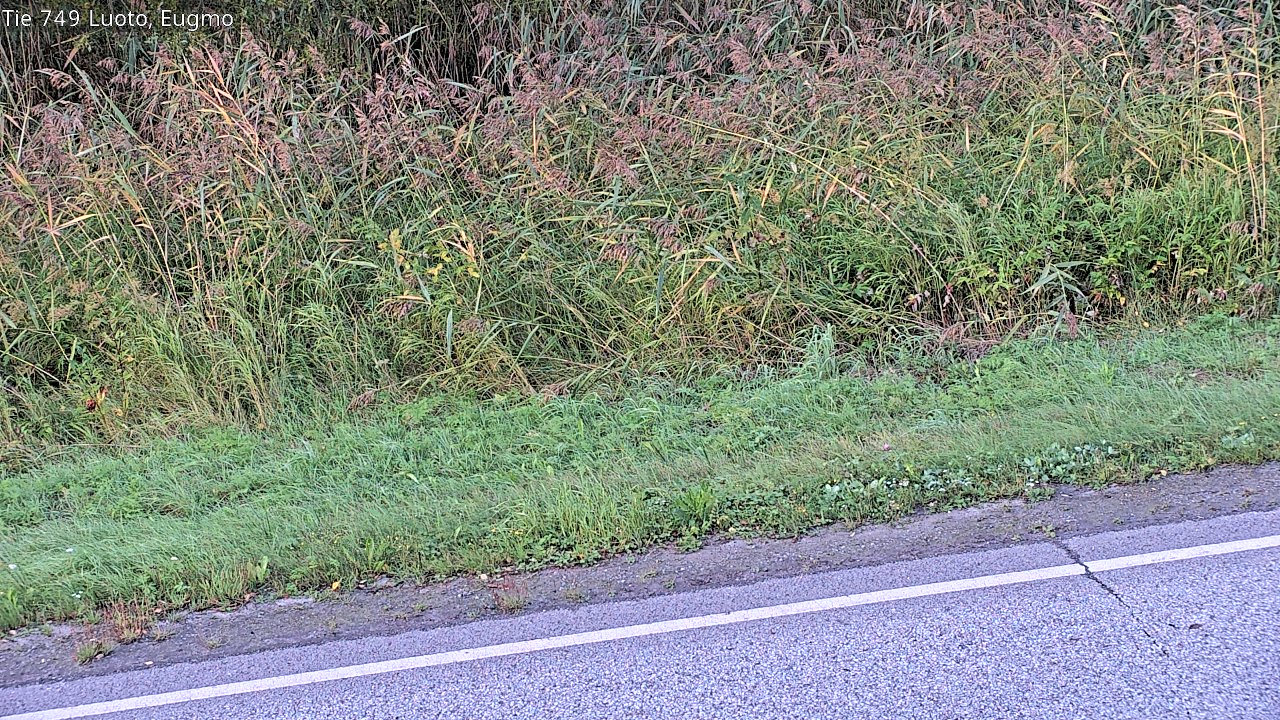 c1054609-1788325445.jpg