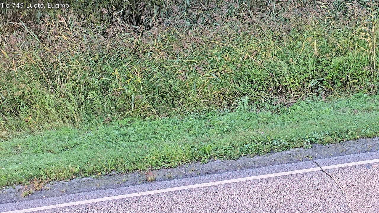 c1054609-1788328990.jpg