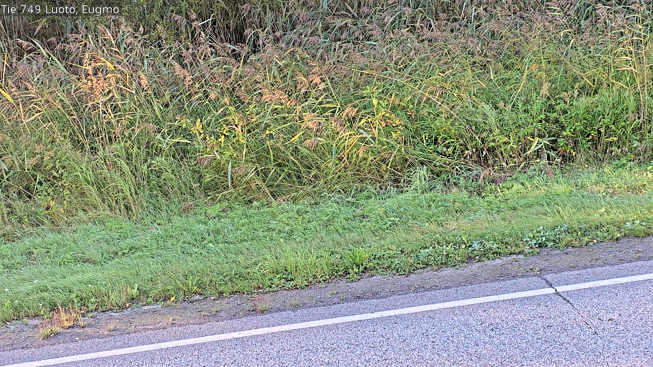 c1054609-1788332588.jpg