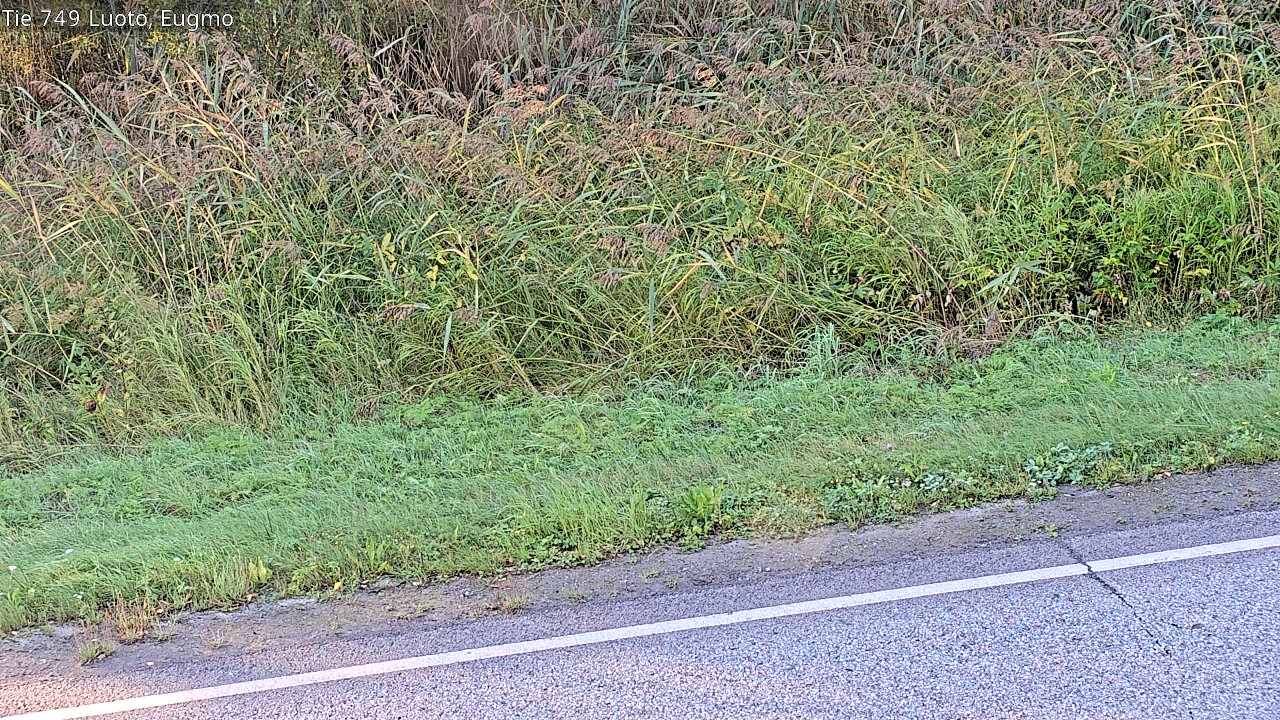 c1054609-1788336155.jpg