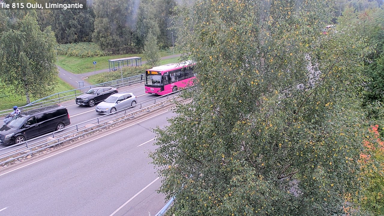 c1257001-1788274925.jpg